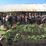 Growing food image...