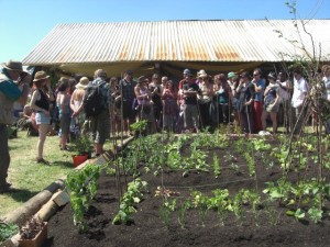 Growing food image...