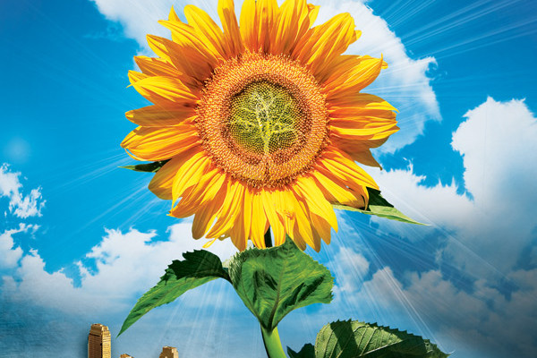 Off-Grid UK 2016? Help make it happen!