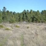 Land at Dolmens Farm