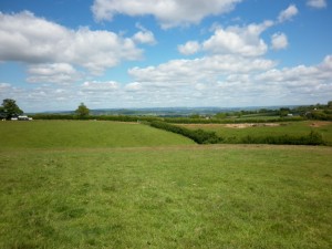 The meadows of Goffin